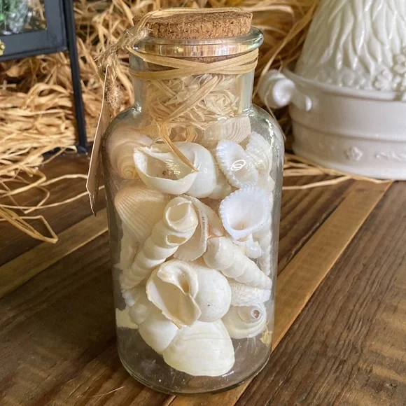 Pottery Barn Sally’s Seashore Seashells “Shells In A Bottle” Vase Filler 🐚 - Picture 4 of 16